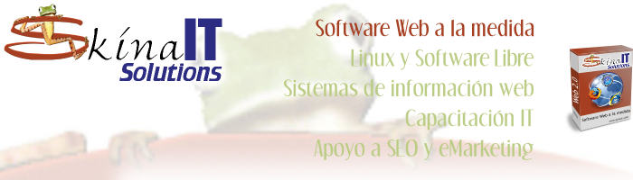 Desarrollo de software y programas a la medida ajustados a las necesidades de nuestros clientes